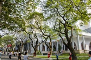 Nhà Thờ Đồng Tiến (Quận 10, TPHCM)